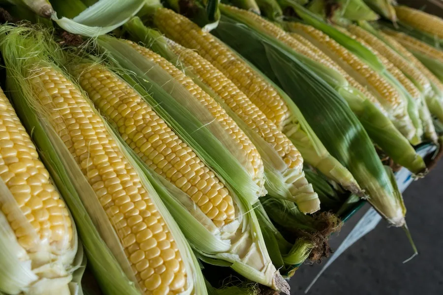 How to boil corn on the cob perfectly, every single time (i.e. You're doing it wrong!) | Liz Gumbinner for Cool mom Eats