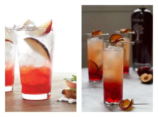 Plum cocktail and plum mocktail recipes perfect for late summer/early fall | Cool Mom Eats