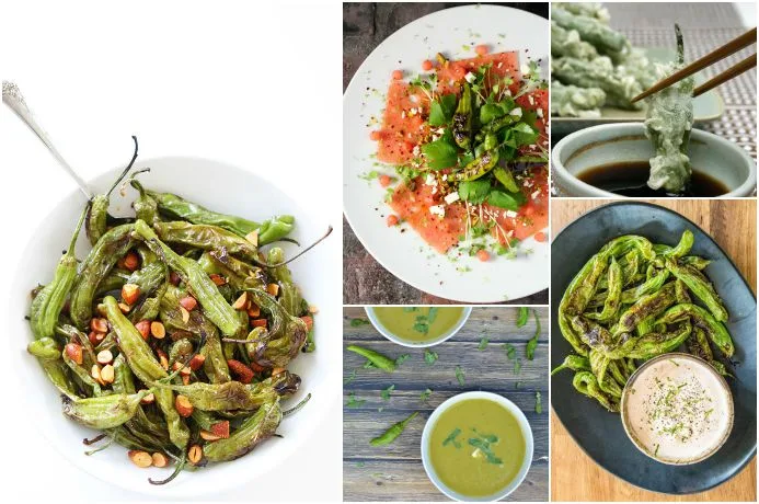 9 of the best shishito pepper recipes from easy to outrageous | Cool Mom Eats