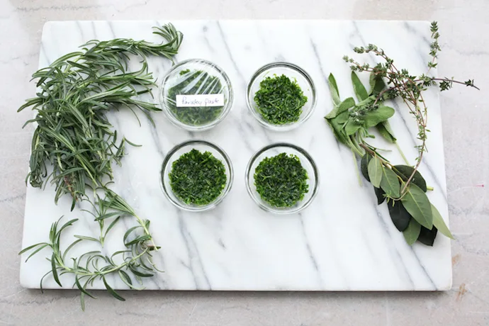 Learn how to preserve herbs with quick and easy methods like these flavorful herb pastes. | Herbal Academy of New England