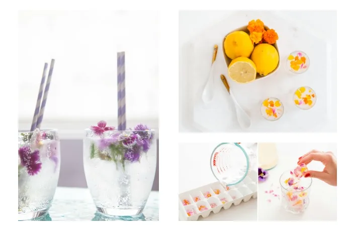 Gorgeous and totally simple spring cocktail recipes (and mocktails, too!) made with edible flowers | Cool Mom Eats