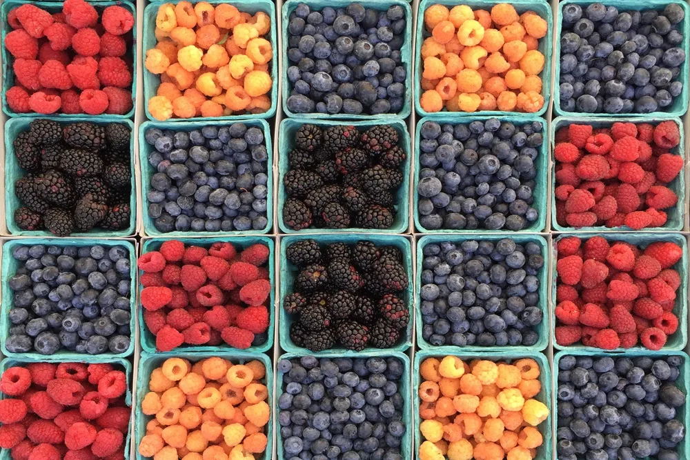 The one trick to keep berries fresh longer. Way longer.