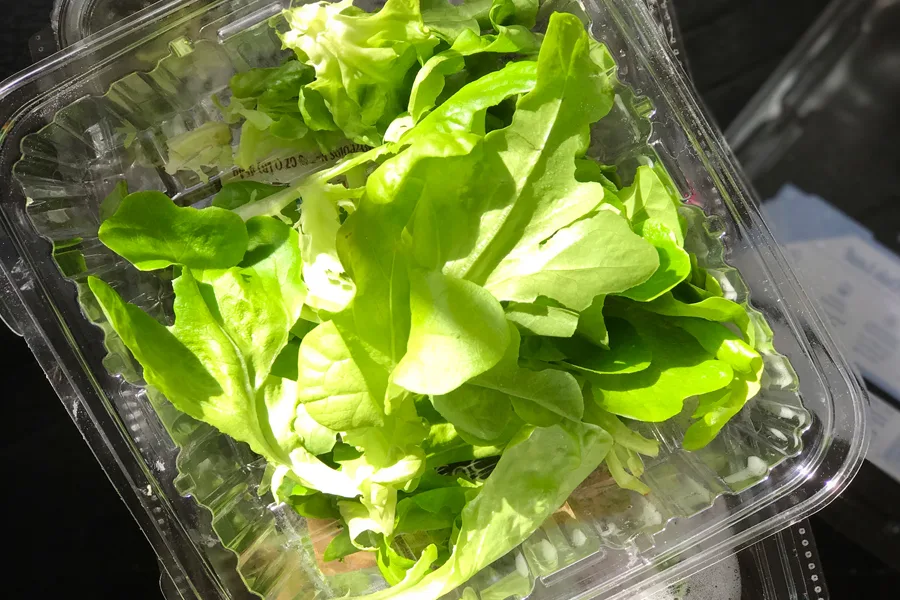 Pre-packaged greens that last longer for busy family cooks -- and how to make them for kids | Cool Mom Eats