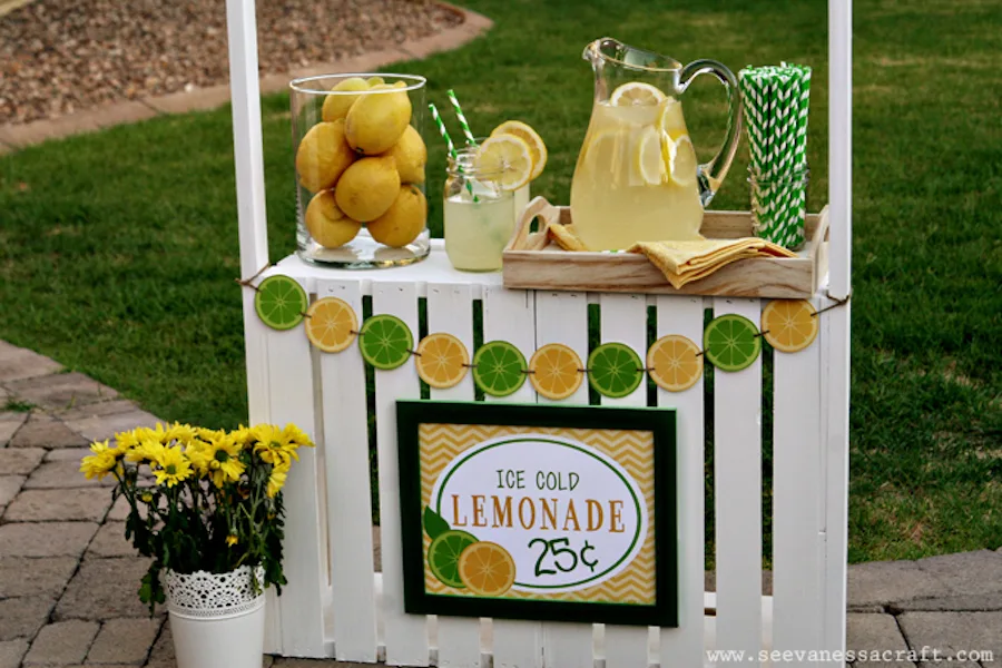 Homemade lemonade stand snacks for kids: A DIY Lemonade Stand takes it to the next level. | See Vanessa Crafts