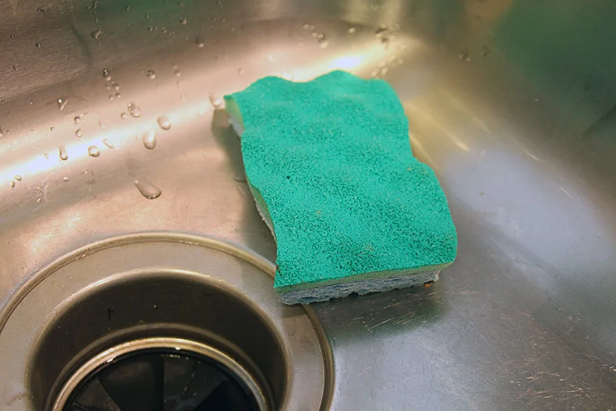 Here's why you need to stop cleaning your kitchen sponge right now | Cool Mom Eats