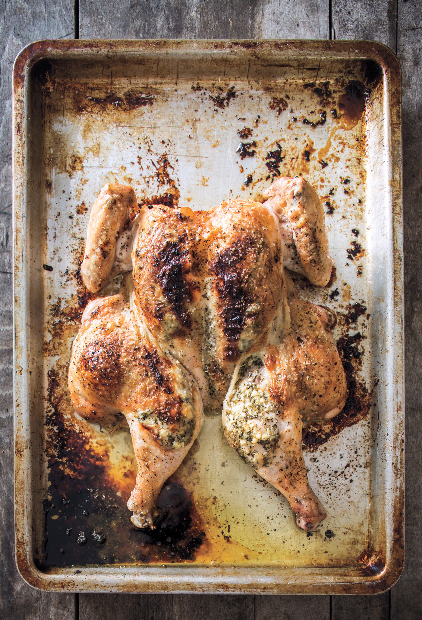 The Dinner Plan Cookbook: Roast Chicken | Cool Mom Eats The Dinner Plan Cookbook: Curried Coconut Noodles | Cool Mom Eats (Photo by Maura McEvoy for The Dinner Plan) The Dinner Plan Cookbook: Roast Chicken | Cool Mom Eats The Dinner Plan Cookbook: Curried Coconut Noodles | Cool Mom Eats (Photo by Maura McEvoy for The Dinner Plan)