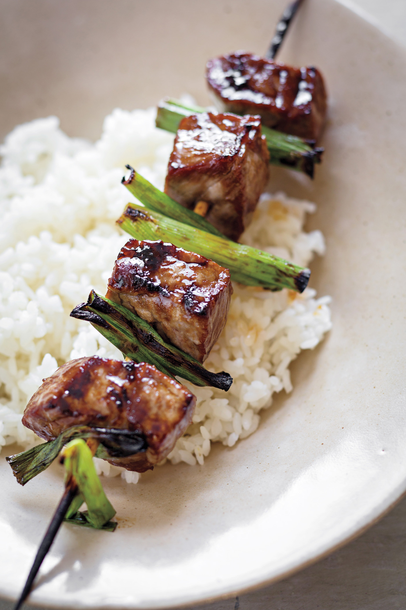 Teriyaki Sauce recipe from The Dinner Plan cookbook by Caroline Campion and Kathy Brennan | featured at Cool Mom Eats (Photos by Maura McEvoy)