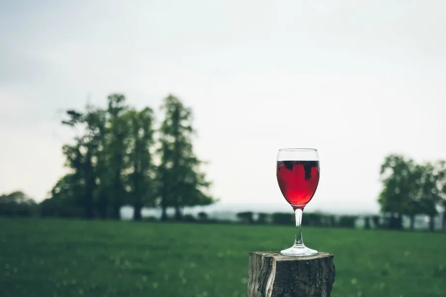 How buying wine online can help the California Wildfire Relief efforts and other important causes | Cool Mom Eats