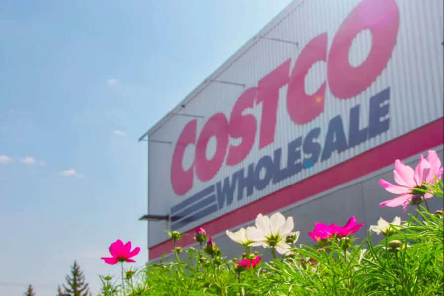 We're thrilled that we can now get groceries delivered from Costco!