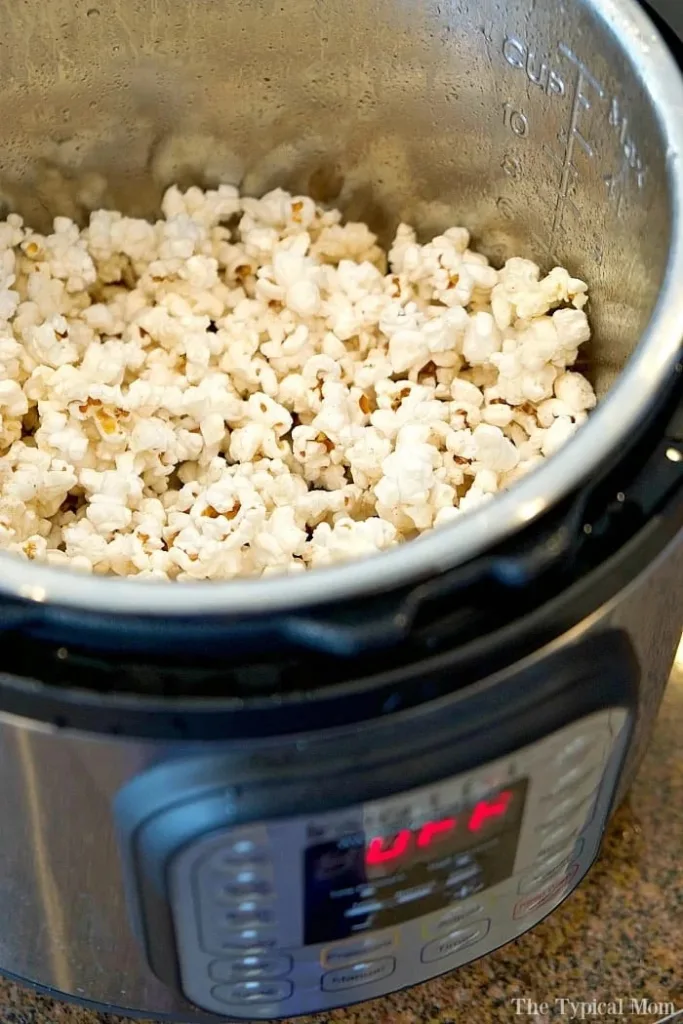 Surprising Instant Pot recipes: Popcorn at The Typical Mom Instant Pot Popcorn from The Typical Mom