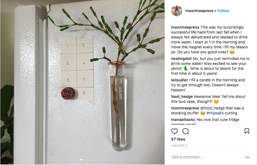 5 tips that make drinking more water easier: paper chart by Moon Tree Press 5 tips that make drinking more water easier: paper chart by Moon Tree Press