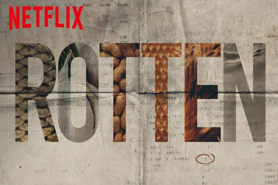 Netflix takes a look at peanut allergies in its new food doc series, Rotten.
