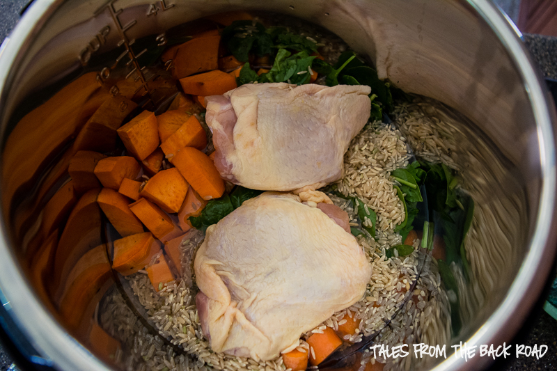 Surprising Instant Pot recipes: Dog Food at Tales from the Backyard 