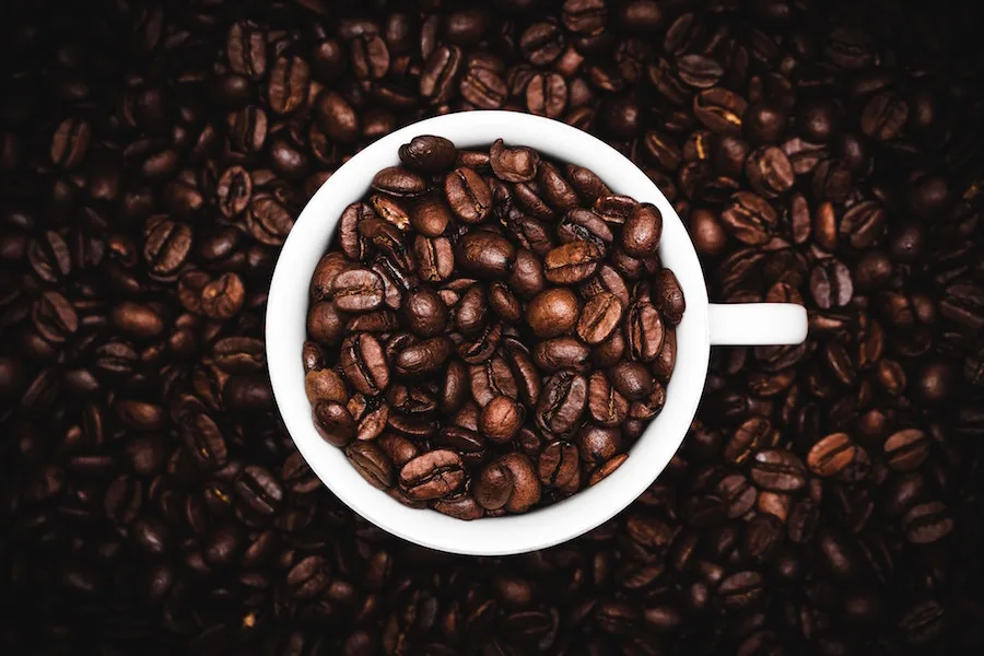 Be your own barista: A visual guide to grinding coffee for beginners and coffee aficionados alike. | Cool Mom Eats