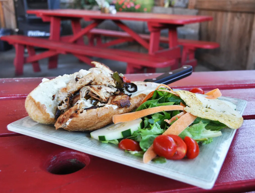 Grilled Chicken and Cheese Sandwich with Fresh Salad
