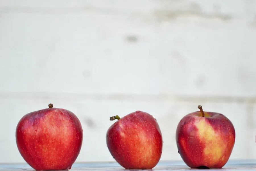 What's safe to eat after a power outage -- and how can you turn it into a meal for your family. We have a guide and recipes too! | Cool Mom Eats