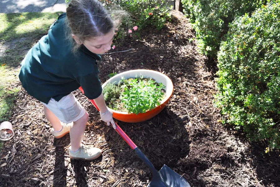 5 easy kitchen habits you can start today to help save the environment.