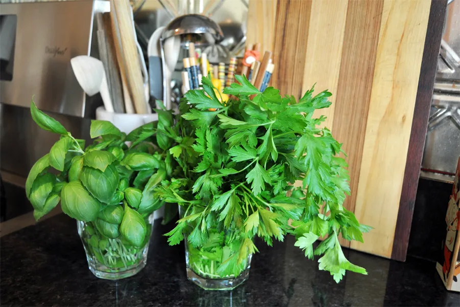 The two best ways to store fresh herbs so they last longer | Cool Mom Eats