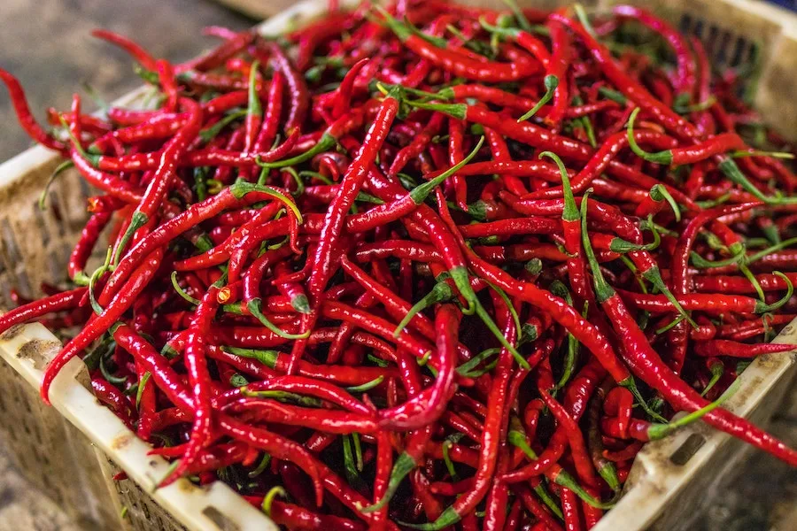 Why spicy foods actually cool you down | coolmomeats.com