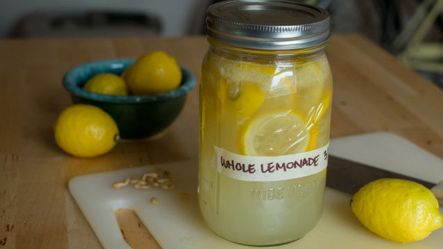 Lemonade Hacks: Whole lemonade by AA Newton for Lifehacker