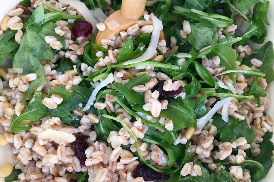 Simple ways to use farro instead of pasta or rice | Walnut Farro Cranberry salad via Jane Sweeney for Cool Mom Eats