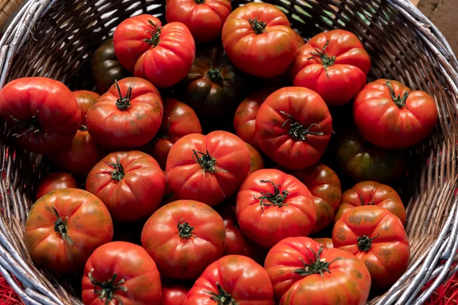 How to use up overripe tomatoes – and bruised ones too! | Cool Mom Eats