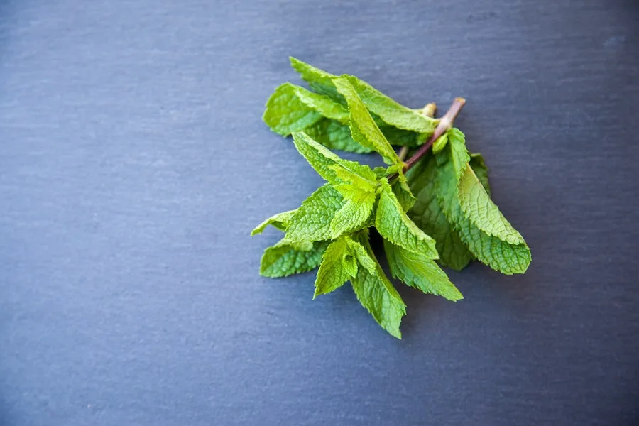 12 creative and unexpected ways to use extra mint from your garden this summer