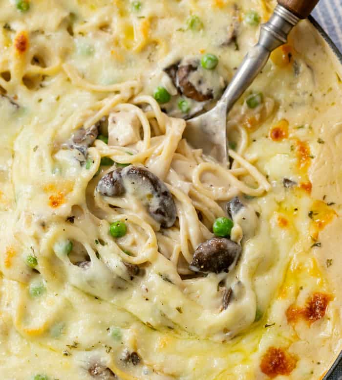 Weekly meal plan 225: Chicken Tettrazzini casserole at The Cozy Cook