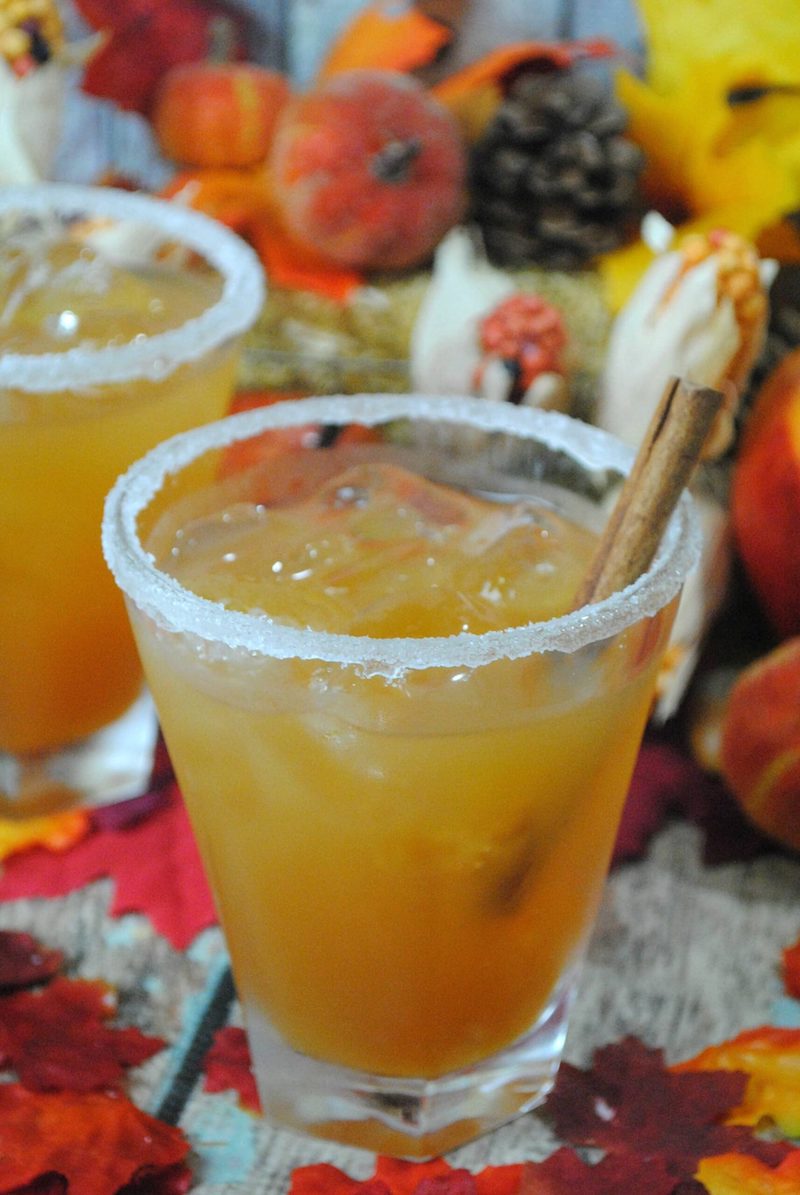 Thanksgiving margarita recipes: Apple cider margaritas at Lady and the Blog