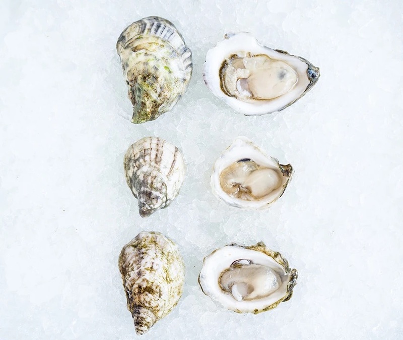 Aphrodisiac Valentine's food gifts for a sexy night at home: Fresh oysters delivered to your home, from Island Creek Oysters
