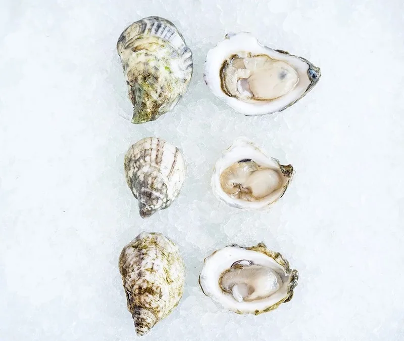 Aphrodisiac Valentine's food gifts for a sexy night at home: Fresh oysters delivered to your home, from Island Creek Oysters Aphrodisiac Valentine's food gifts for a sexy night at home: Fresh oysters delivered to your home, from Island Creek Oysters