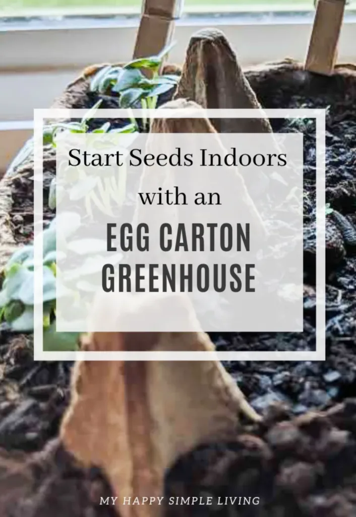 Egg Carton Greenhouse from My Happy Simple Living