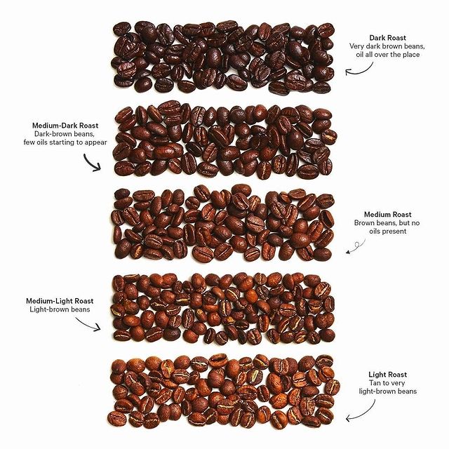 Understanding coffee bean roast levels | Trade Coffee