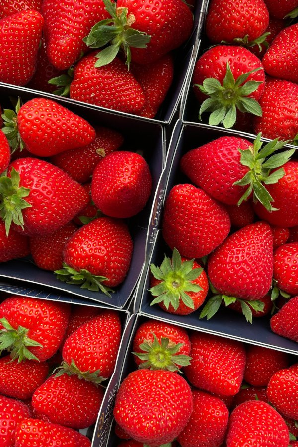 How and why to sign up for a community supported agriculture box: Locally grown strawberries are so much more flavorful than what's at the grocery store. 