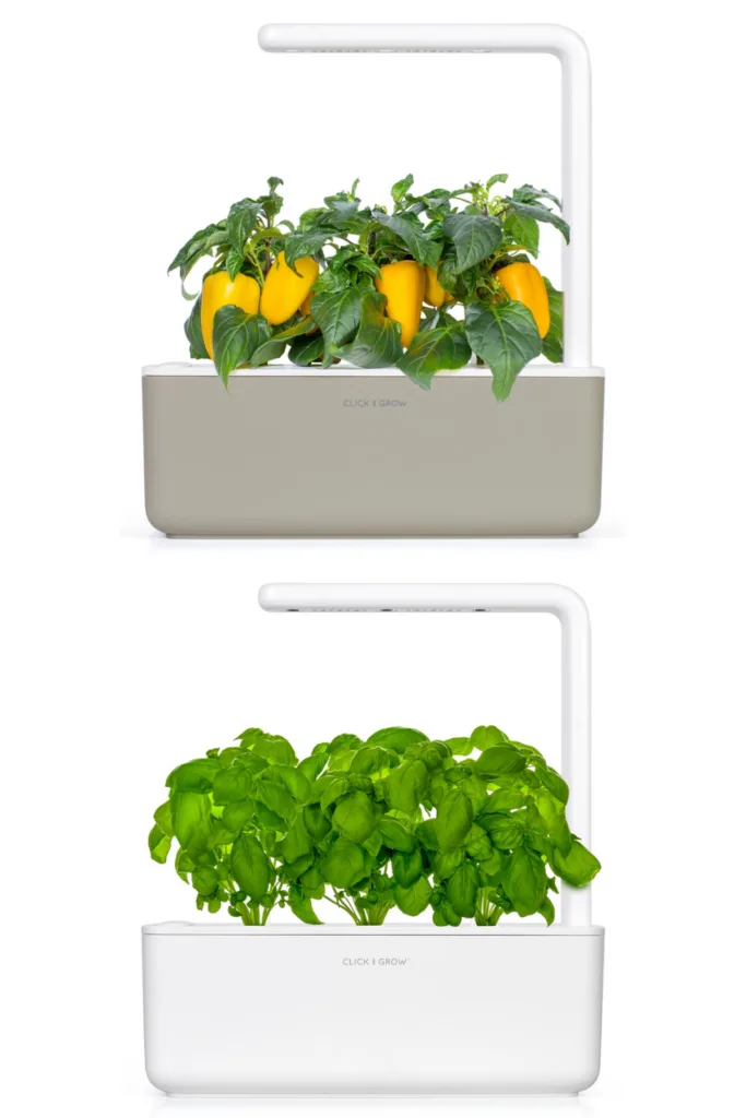 Why we love the Click & Grow for growing indoor herbs all year long Why we love the Click & Grow for growing indoor herbs all year long