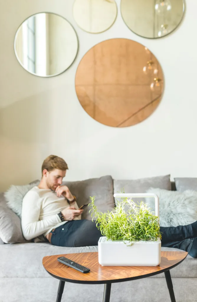 Click & Grow: The perfect way to grow herbs indoor all year, even if you don't have a green thumb!