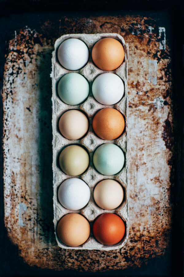 How to tell if eggs are fresh | Cool Mom Eats