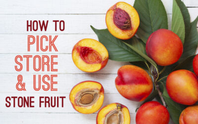 In season: Stone fruit. Our tips for picking, storing, and cooking with the most delicious fruit of the summer.
