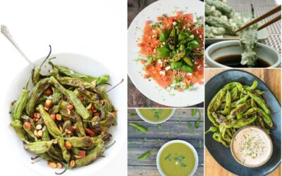 9 shishito pepper recipes from easy to outrageous: How to prepare the hottest (ha) new veggie these days.