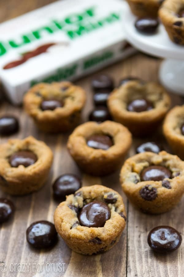 Junior Mint Chocolate Chip Cookie Cups from Crazy for Crust