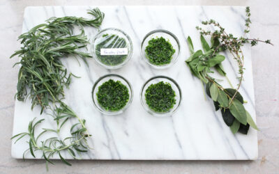 How to preserve herbs: 5 quick and easy methods to avoid food waste and save money.