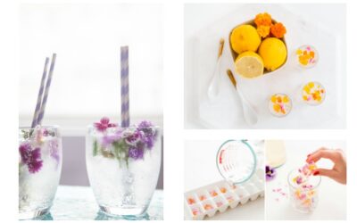 Spring cocktails and mocktails with flower power.