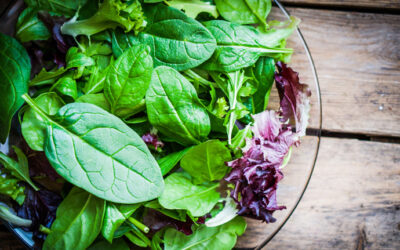 Is your lettuce as clean as you think? The best way to wash your greens to keep them delicious, safe, and fresh.