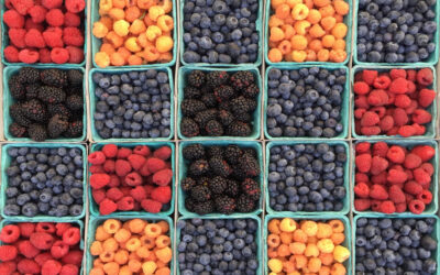 The one trick to keep berries fresh longer. Way longer.