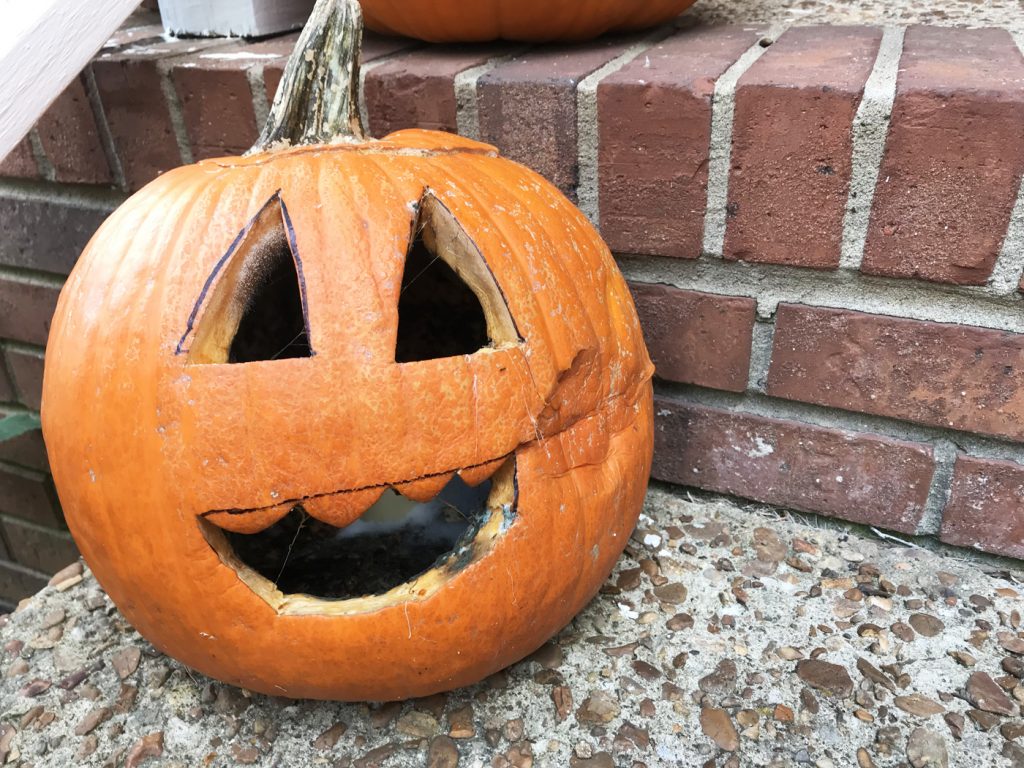 The best way to keep your pumpkin from rotting this Halloween. | Cool ...