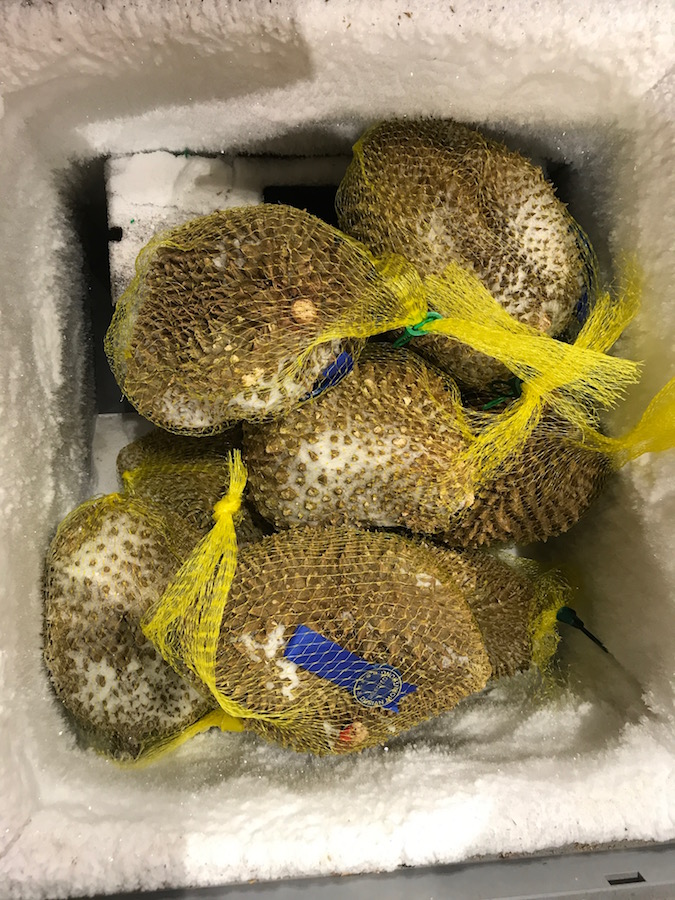 Asian grocery store finds: Durian | © Jane Sweeney Cool Mom Eats