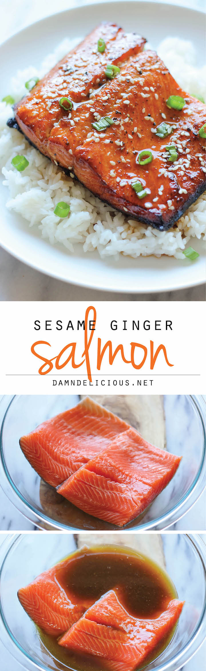 30-minute marinades: Sesame Ginger Salmon 30-minute marinade | Damn Delicious 