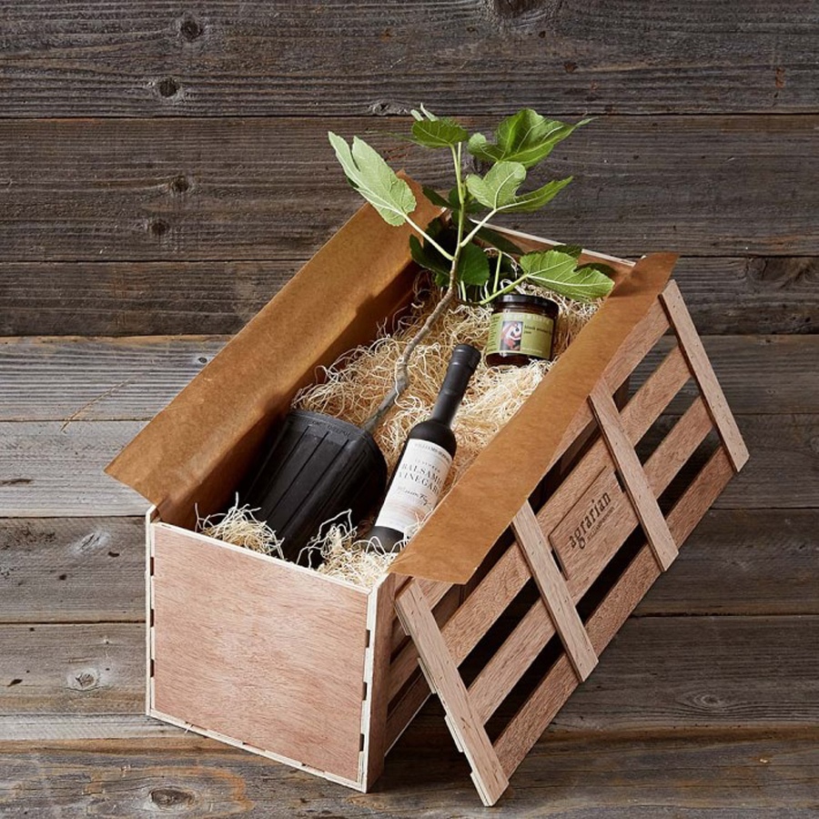 Gourmet Father’s Day Gifts: Fig Balsamic Crate