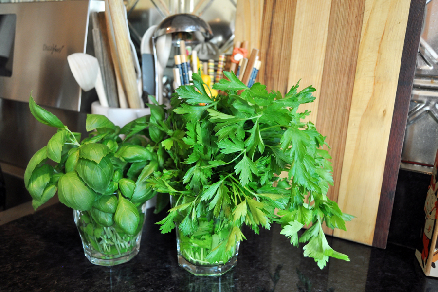 The best way to store fresh herbs so they last longer: 2 simple solutions.