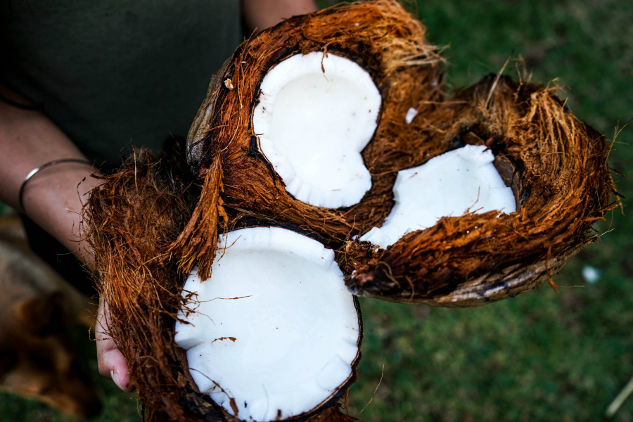 Is coconut sugar really a healthy sugar alternative?